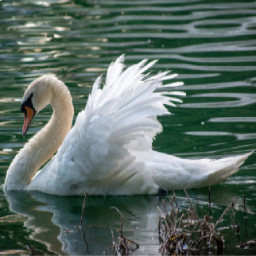 Github Objectdrop Objectdrop Github Io Objectdrop Project Page - Download Amazing Ocean Illustration | Mobile