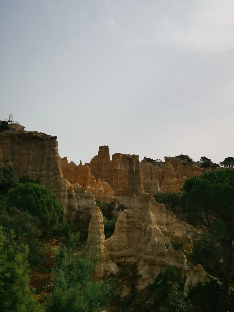 visite du site des orgues d'ille sur têt