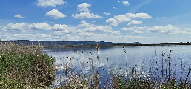 Laguna de pitillas