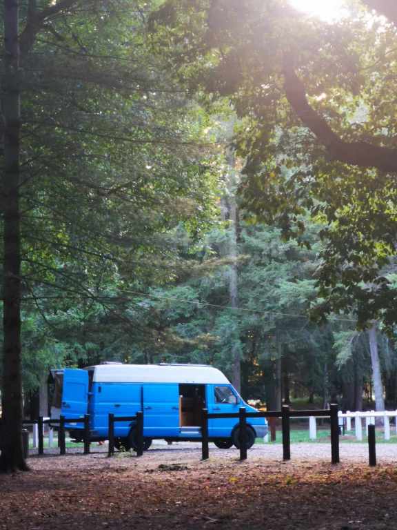 Hermès notre fourgon sur un spot van normandie dans la forêt d'Epinay