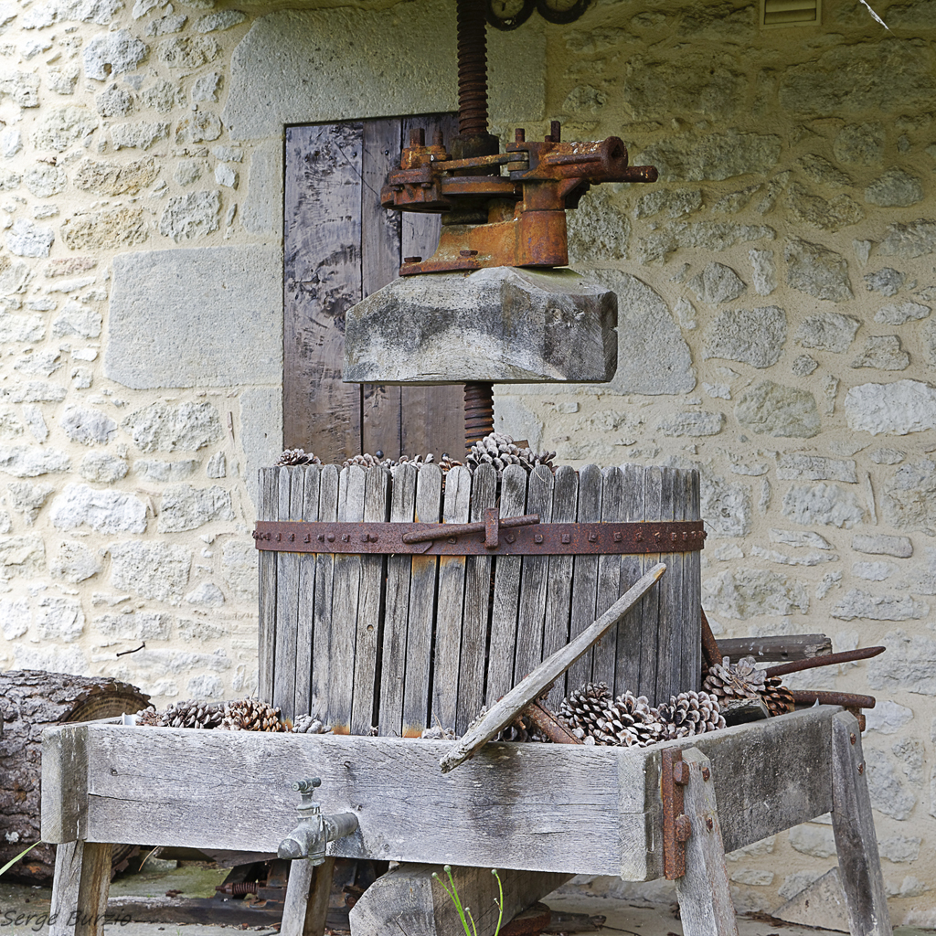 _DSC9983_DxO