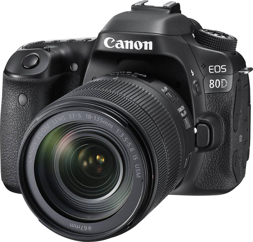 Canon 80D | The Materials of History, Thought, and Art