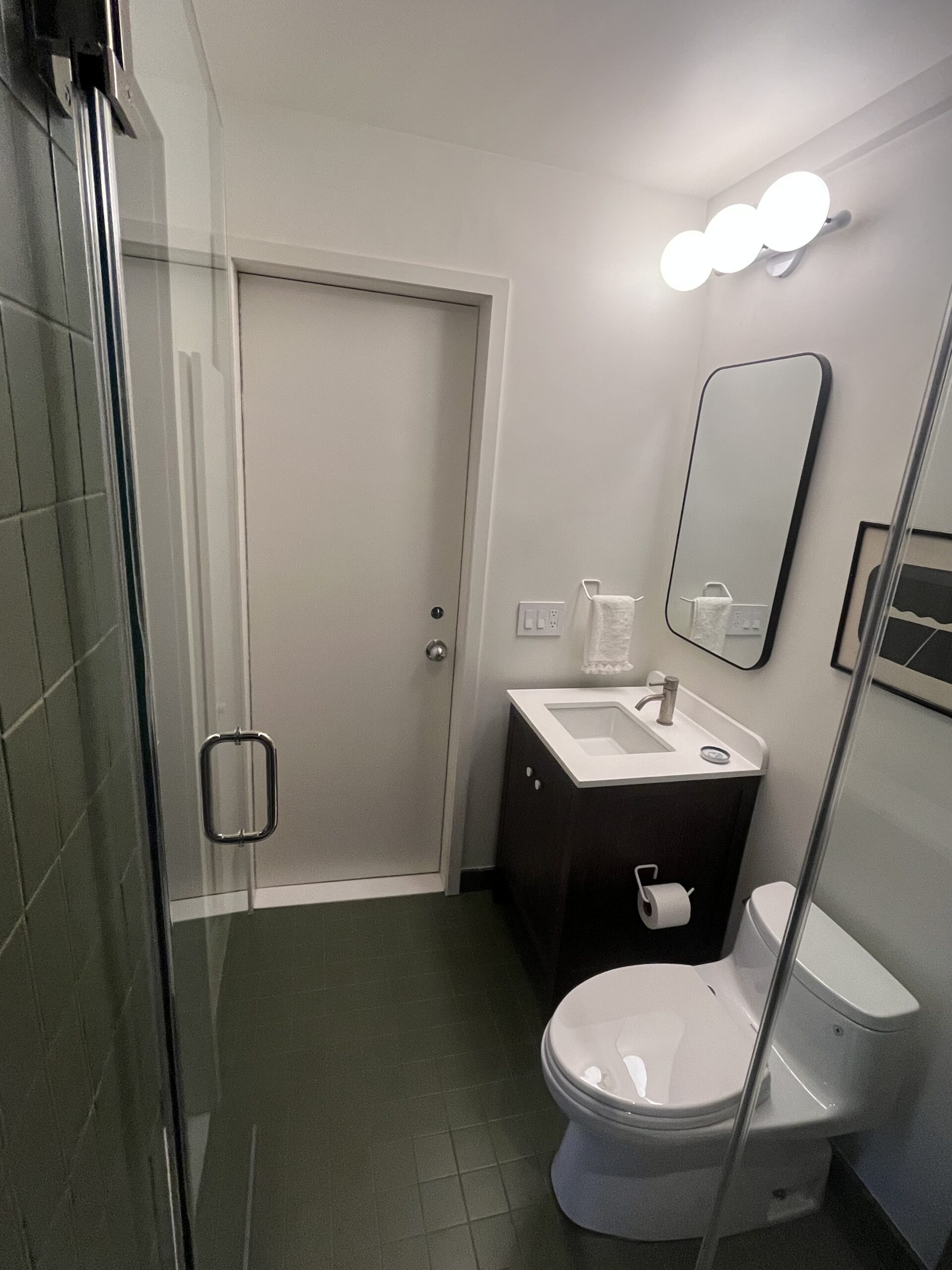 View from inside the walk-in shower, showing the toilet, sink, and side entrance door.