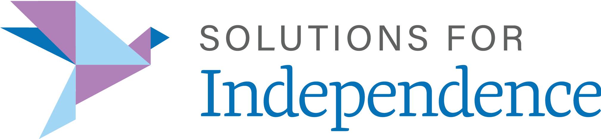 Solutions For Independence: Working Everyday To Form an Inclusive Community For All