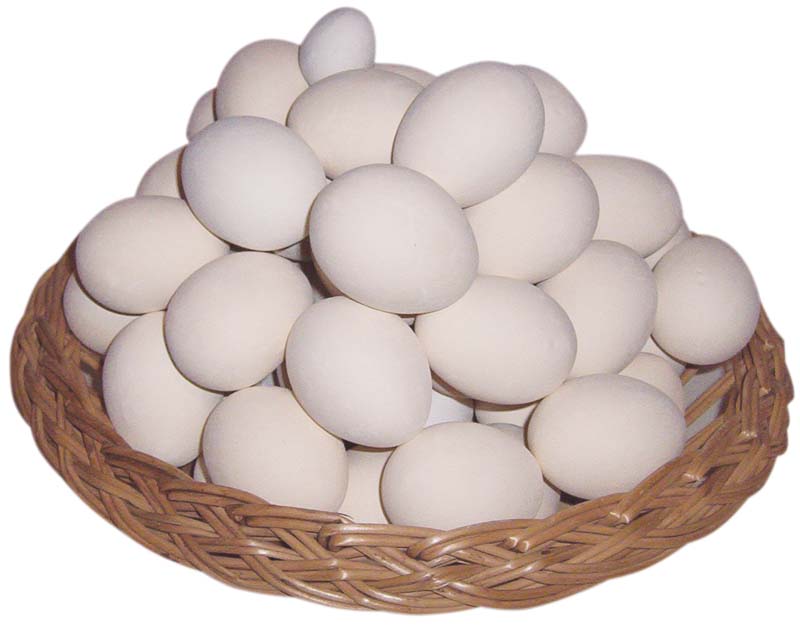 The Best 10 Macumba Com Ovo O Que Significa Centralimageage