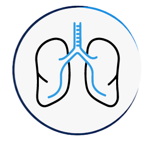 X Ray Icon