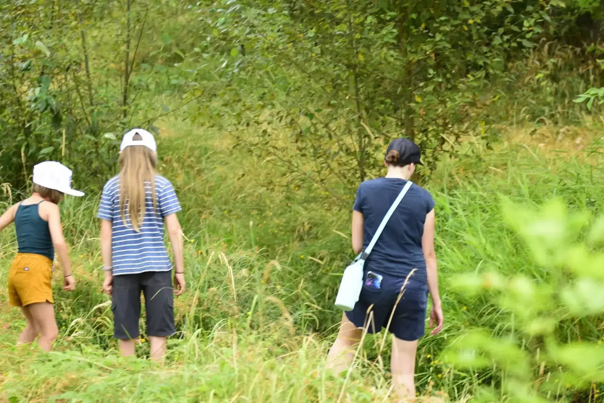 planting-trees-for-streams