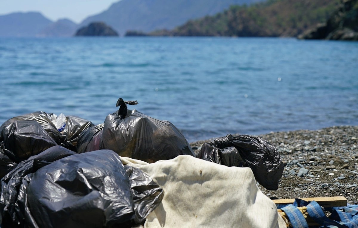 Bags of trash collected on a rocky shoreline