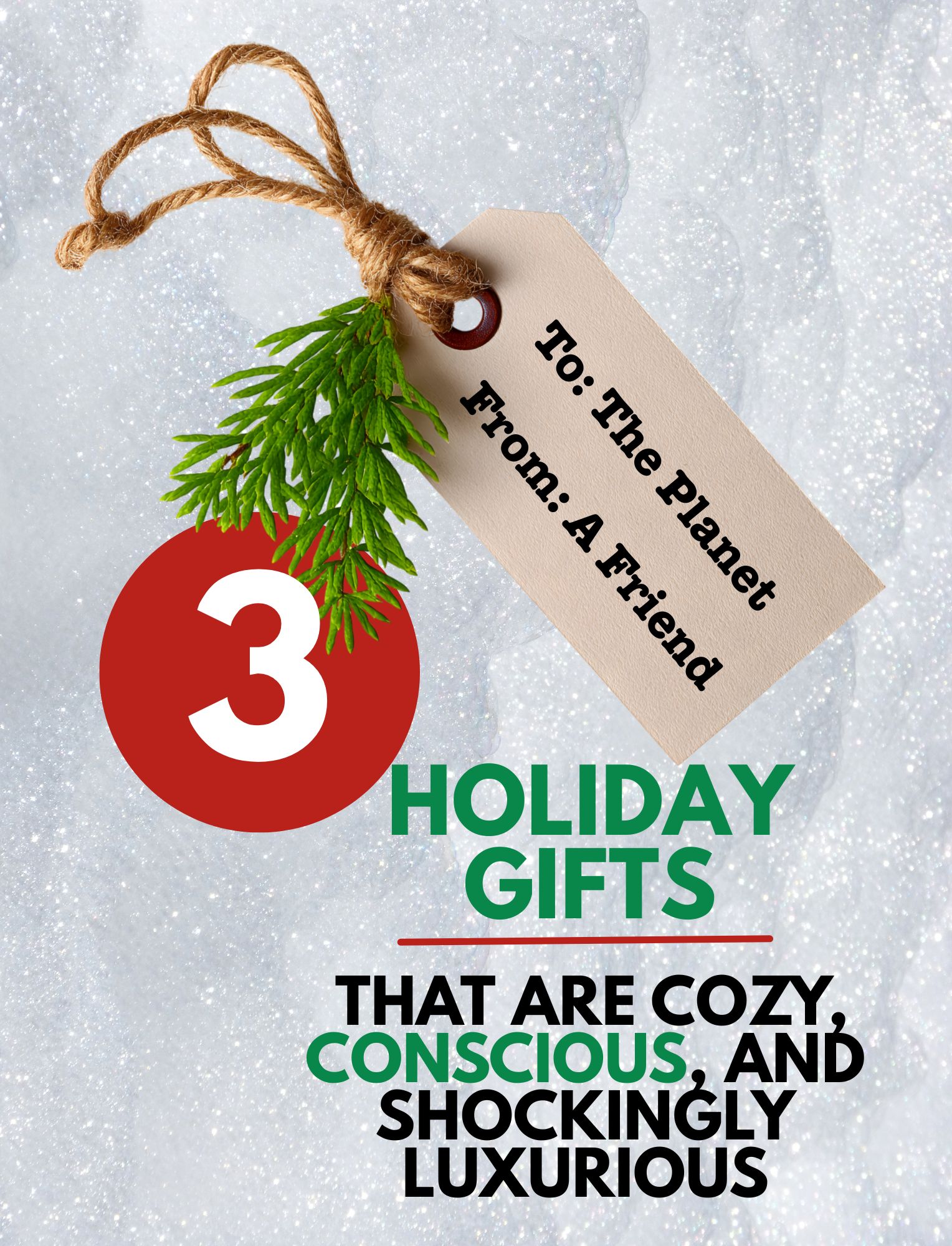 Holiday gifts for eco-conscious friends