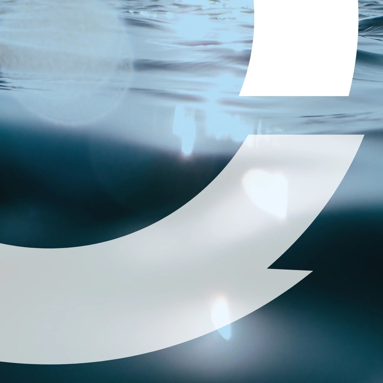 Custom Website Development for Environmental Consulting Companies