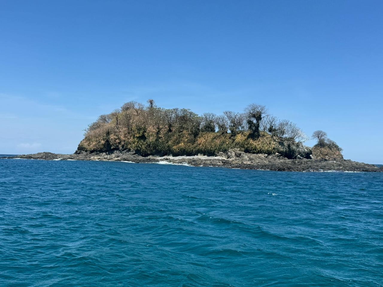 Pitahaya island