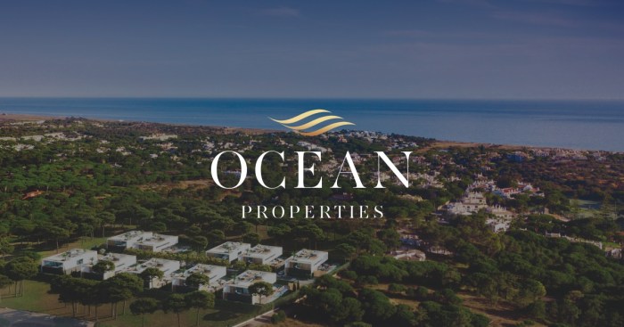 Mark walsh ocean properties net worth
