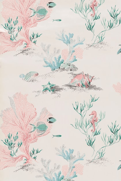 The Role of Nonprofits in Environmental Protection