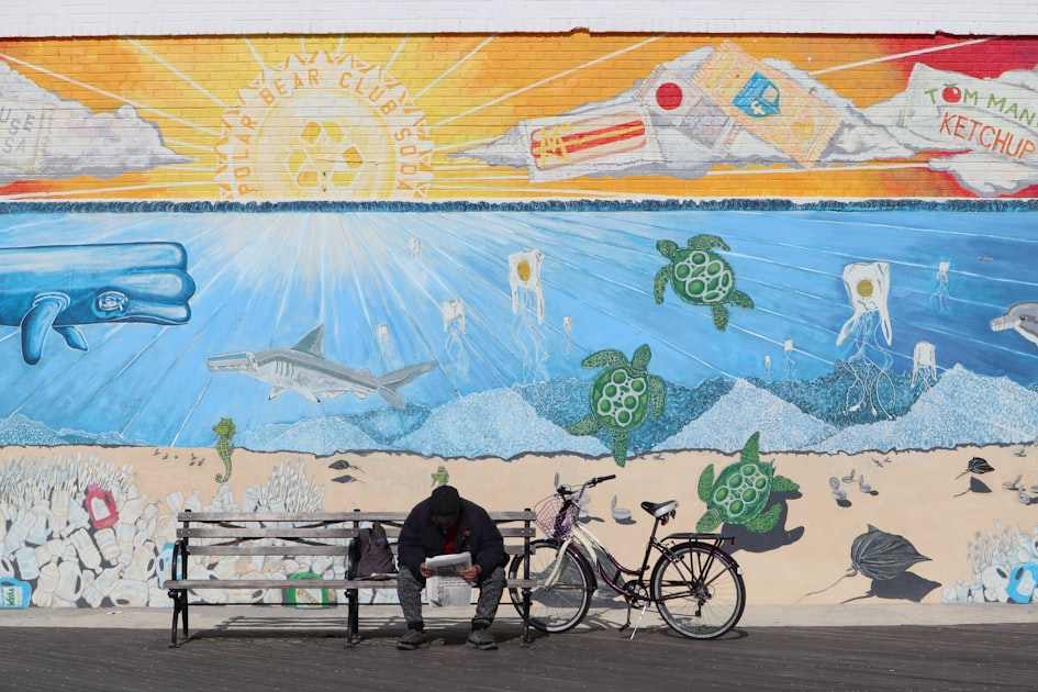 Protecting Somalia’s Marine Ecosystem