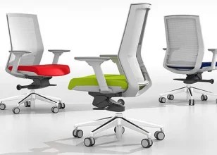 Ergonomic Seating