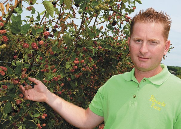 The Best 25 Best Time To Plant Blackberries In Ohio
