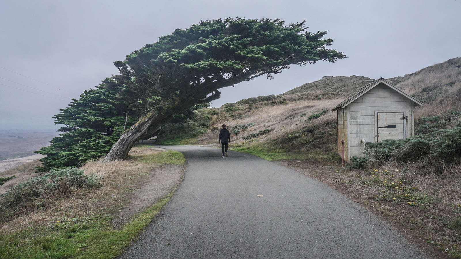 Point Reyes National Seashore (Lighthouse). Voilà ce qui arrive quand la brise d’un océan souffle sur un arbre durant sa croissance. Merci dame Nature pour cette œuvre d’art. La place la plus mystérieuse que j’ai eu la chance de voir dans ma vie.