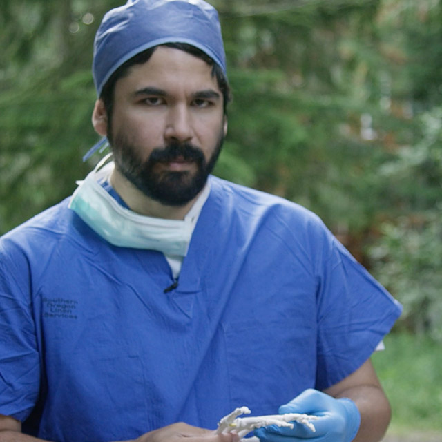 octagrab-dr.fernandez