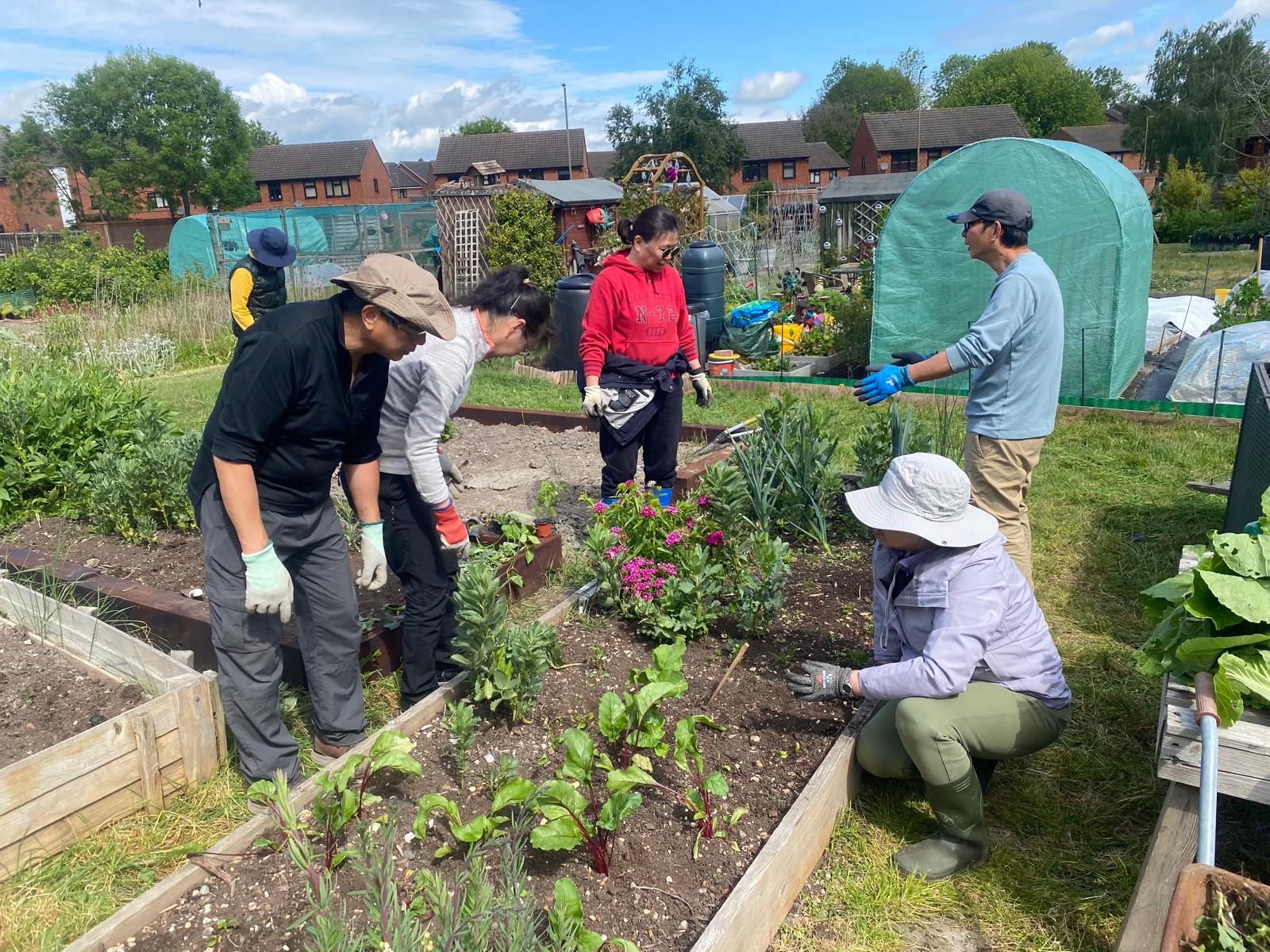gardening at Sustainable Didcot