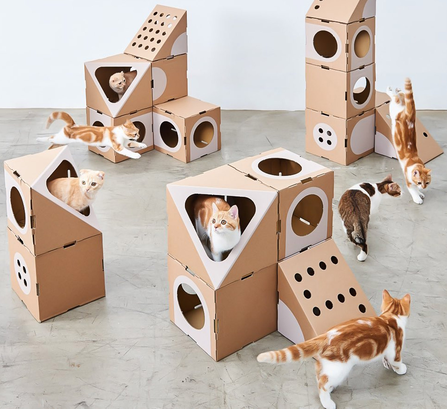 You can create the ultimate cat playground with this mix and match