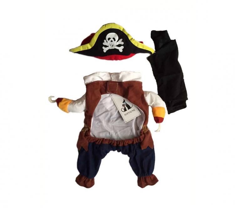 Cat pirate costume