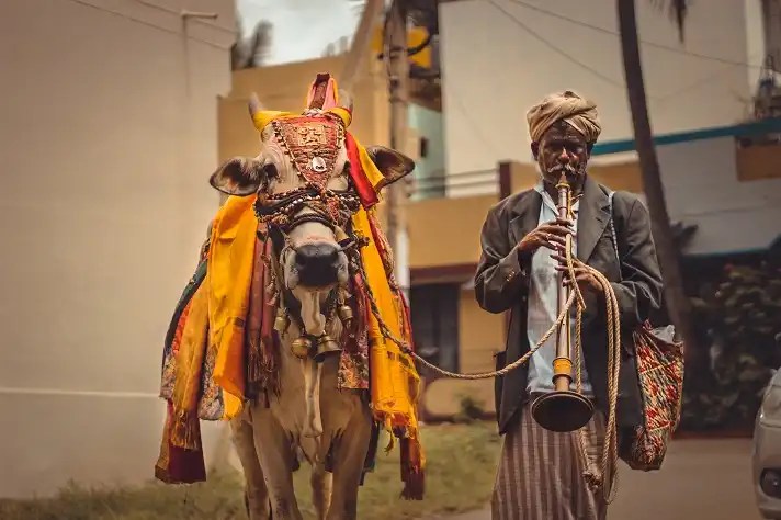 An old man playing Nadaswaram