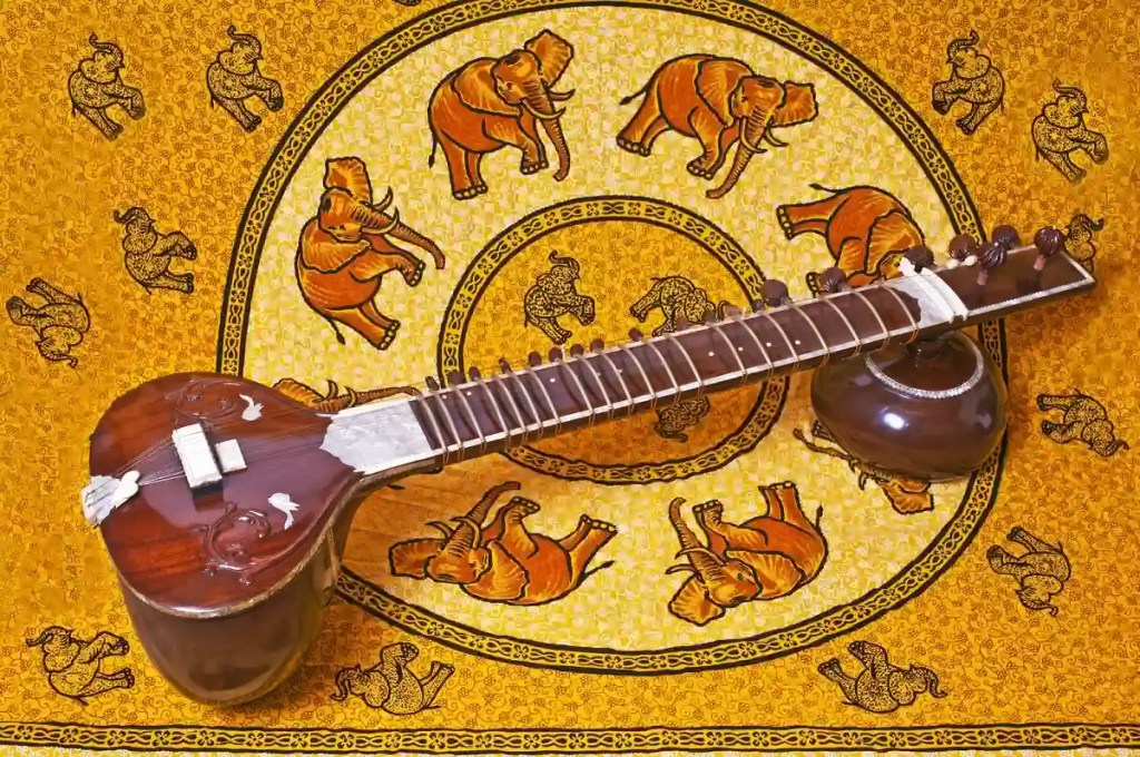 Sitar instrument