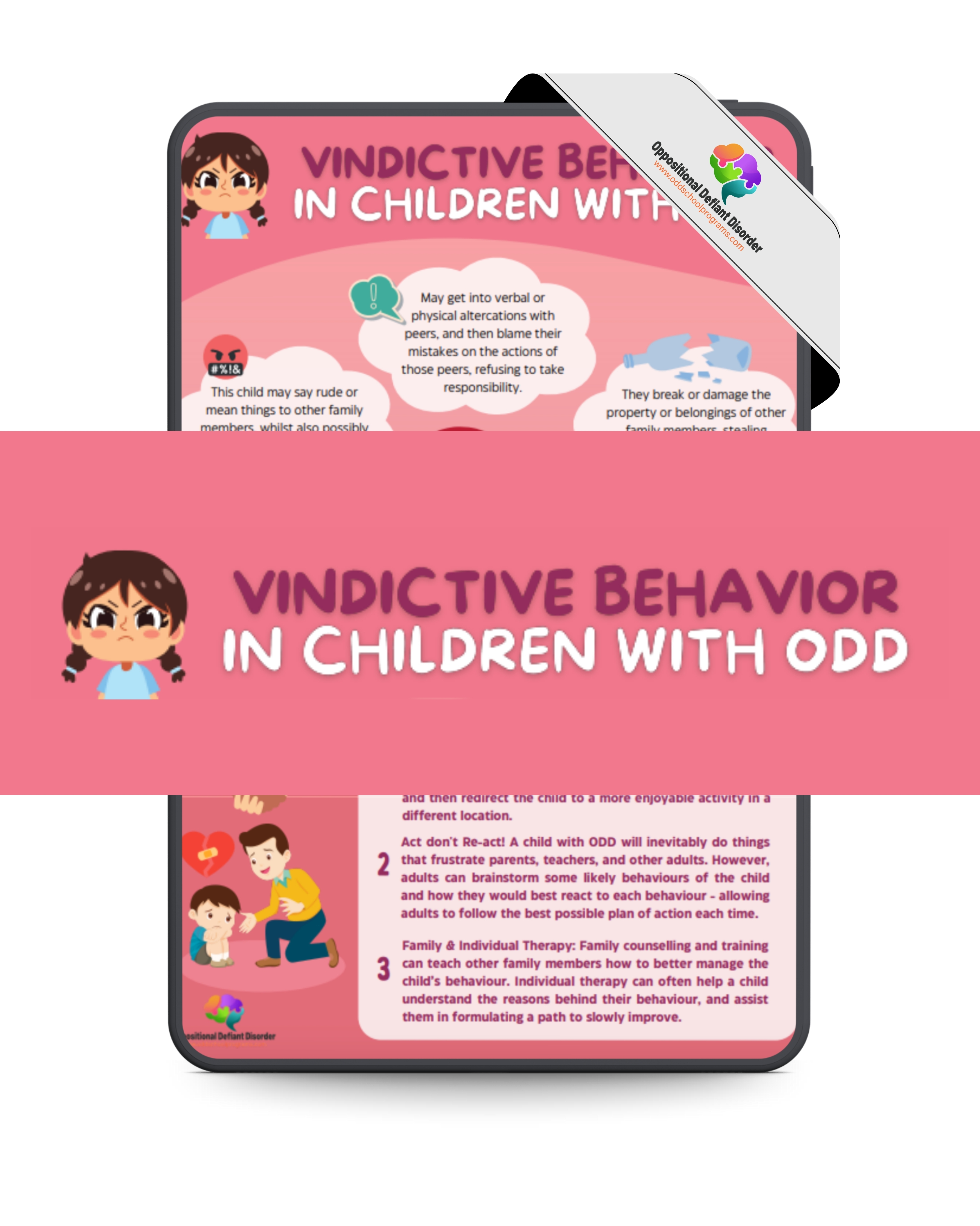 Dealing with Vindictive Behaviour