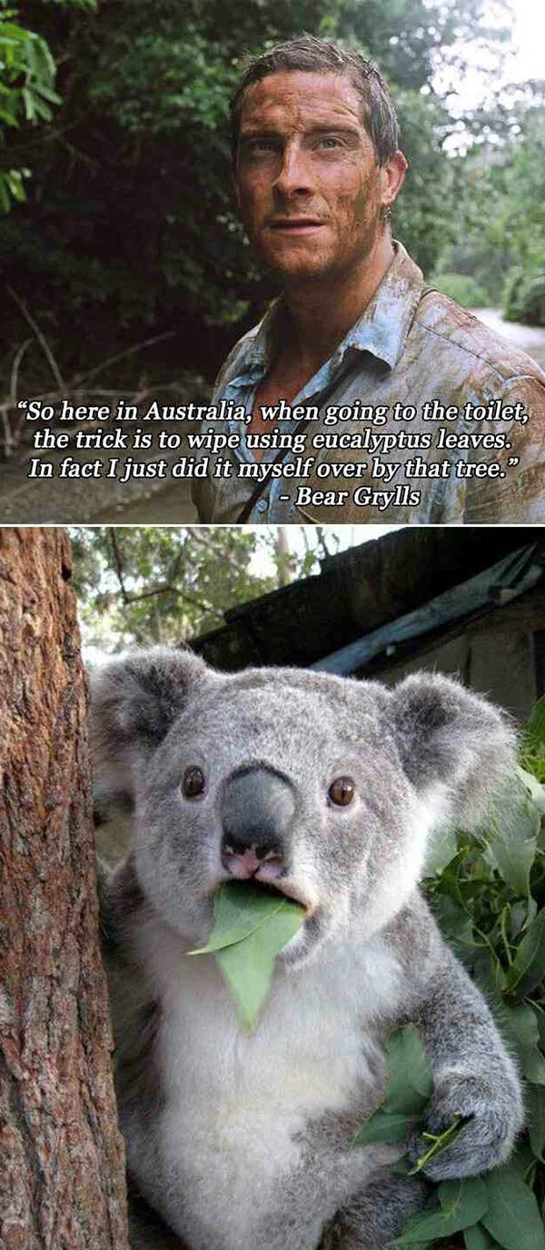 Photos - Funny Pictures – July 17, 2018 Bathroom tip