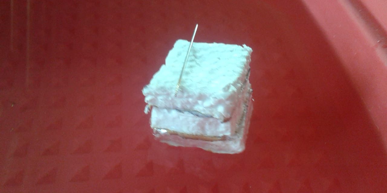 EXPERIMENTANDO