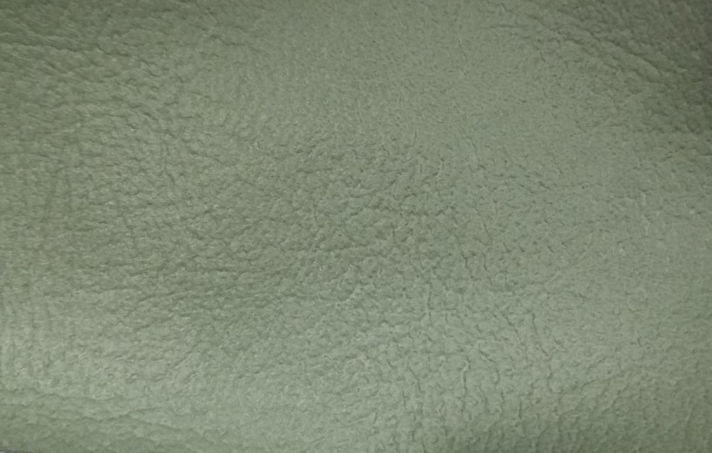 L-5613 : 1981-1982 Chrysler - Color: Light Green Saddle