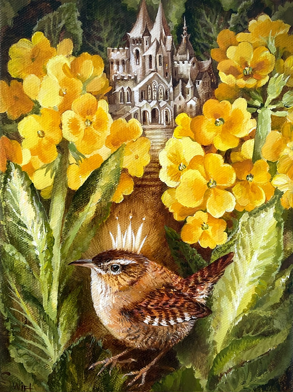 King Wren (🔴Sold)