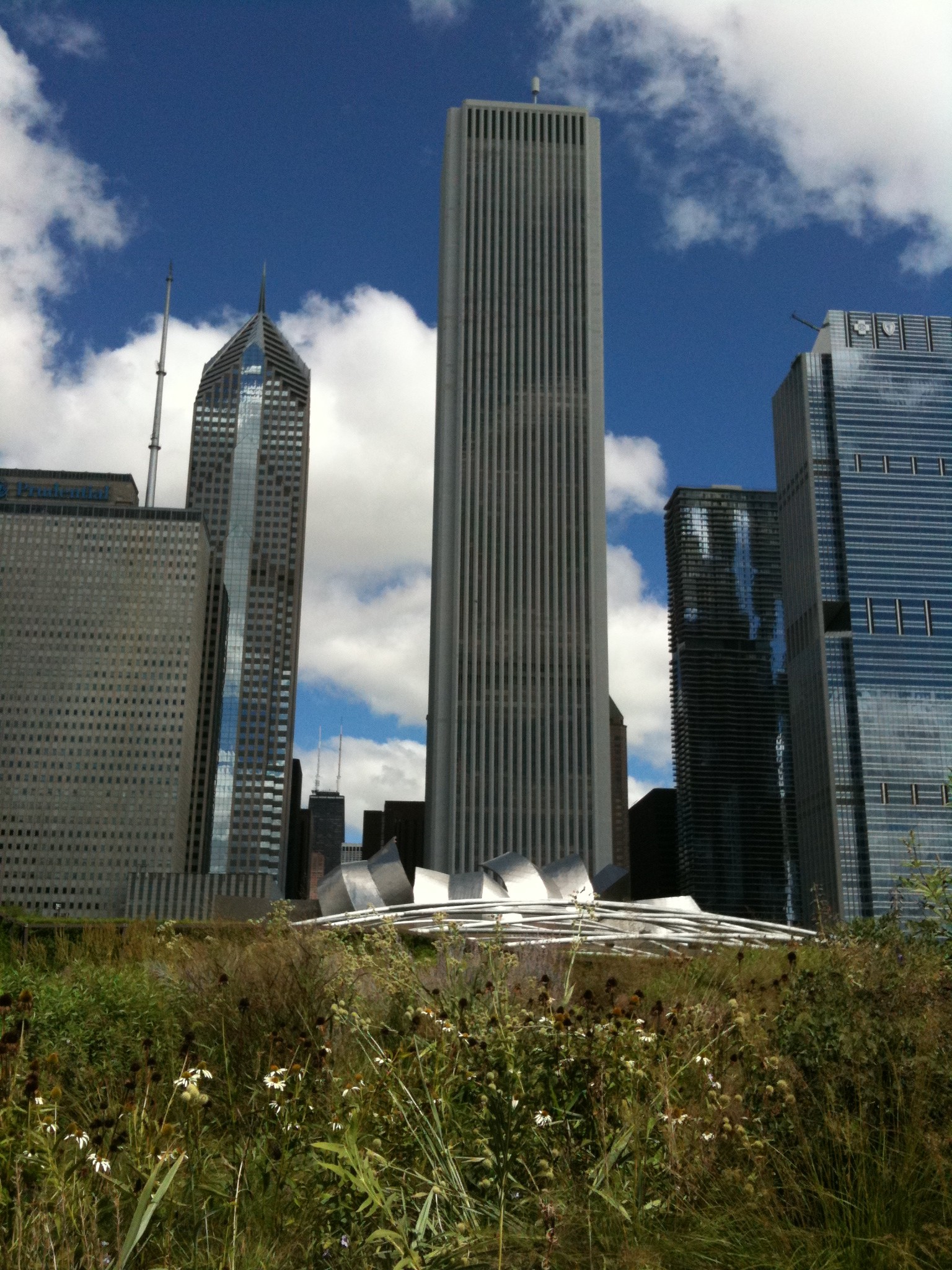 chicago_millenium_park_8