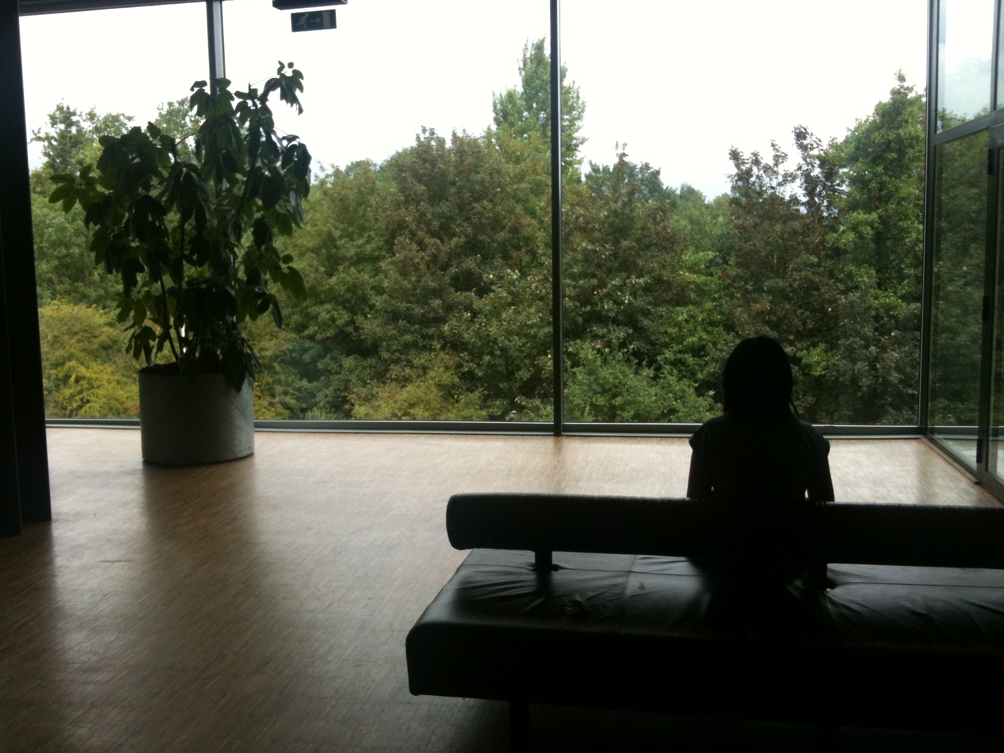 Utrecht_educatorium_18