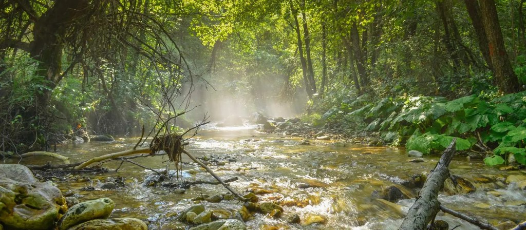 White river cover photo