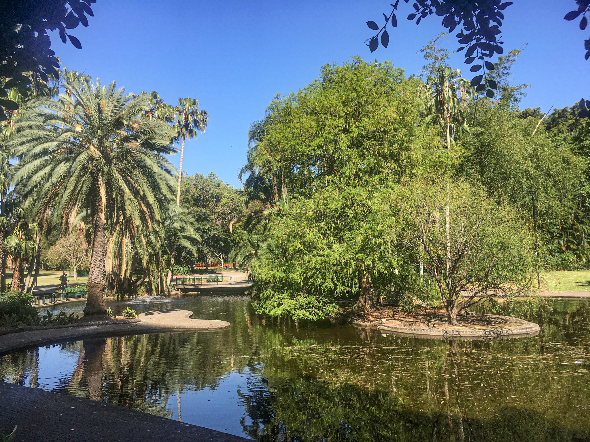 Brisbane City Botanic Gardens - 48 hours in Brisbane