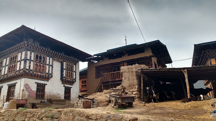 Glimpse of rural Bhutan, as you walk to Chimi Lhakhang, Walk through Lobesa village to reach Chimi Lhakhang, Bhutan, Places to visit in Bhutan, Things to do in Punakha, Bhutan temples, Phallus, Divine Madman of Bhutan. Bhutan Tourism