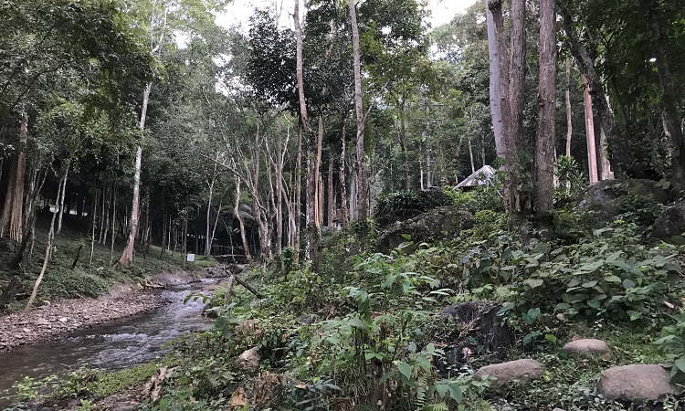 Chiang Dao Hot Springs (น้ำพุร้อนเชียงดาว) is one of the top things to do in this mountain town of Chiang Dao, 70 kilometers from Chiang Mai. Just a few kilometers from Chiang Dao Caves (ถ้ำเชียงดาว) and Wat Tham Chiang Dao (วัดถ้ำเชียงดาว) Buddhist Temple, find these hot springs in small beautiful Ban Tham village