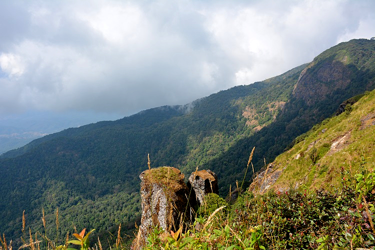 Along the Ridge at Kew Mae Pan Nature Trail (เส้นทางศึกษาธรรมชาติ กิ่วแม่ปาน) Doi Inthanon National Park Thailand is an amazing 3 km hiking trail. Experience rainforest, grasslands, waterfalls and beautiful Rhododendron flowers – One of the top places to visit in Chiang Mai - Motorbike backpacking trip across Mae Hong Son Loop, Thailand