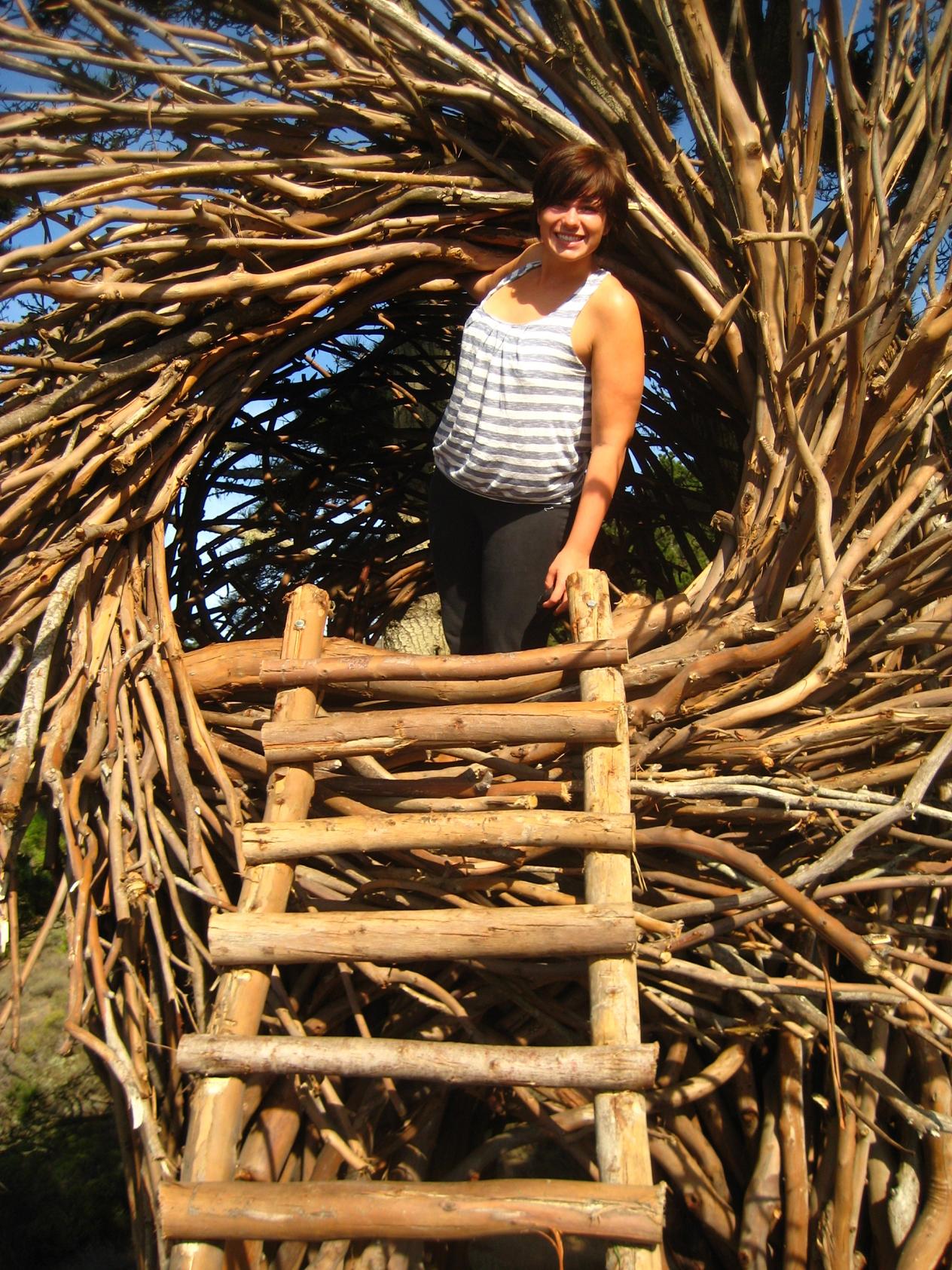 treebones human nest