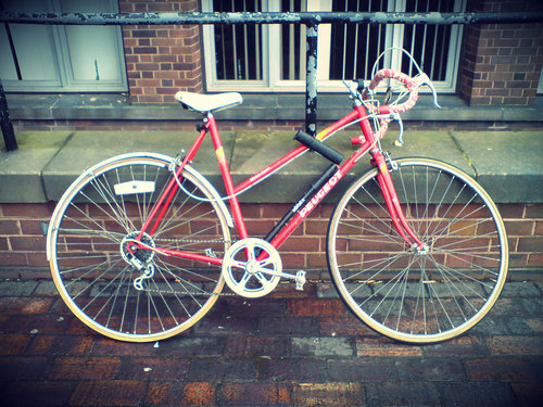 freecycle 5