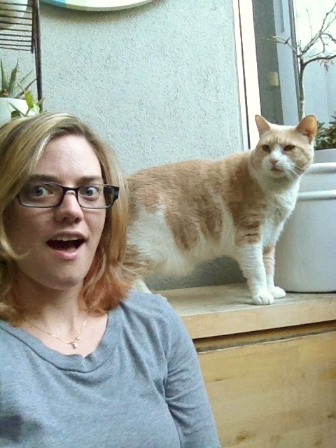 train cat to pee outside