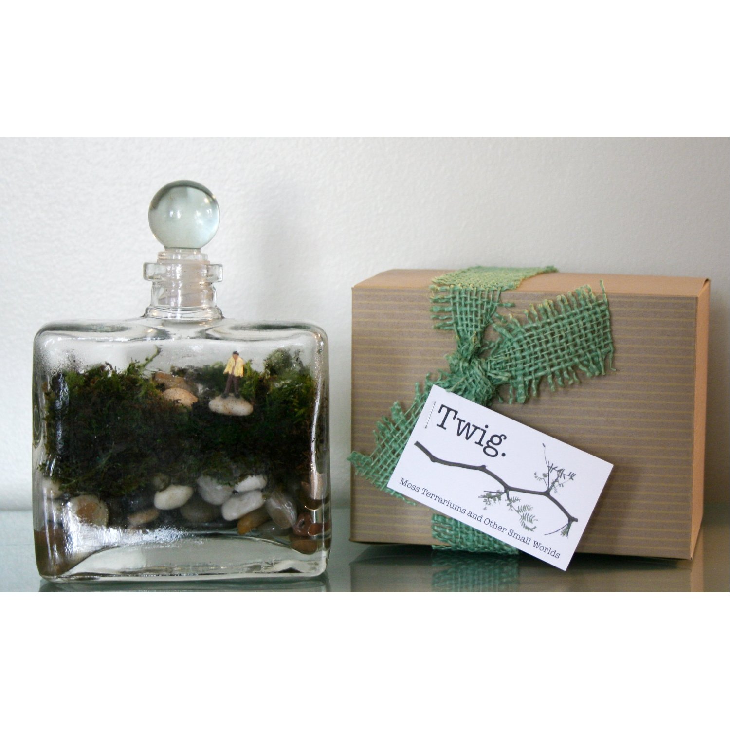 Twig Terrariums Tropisma DIY Terrarium Kit