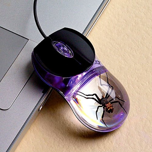 spider mouse
