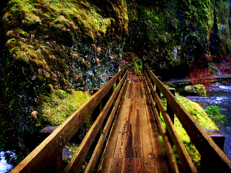 Bridge to Oregon