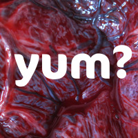 placenta
