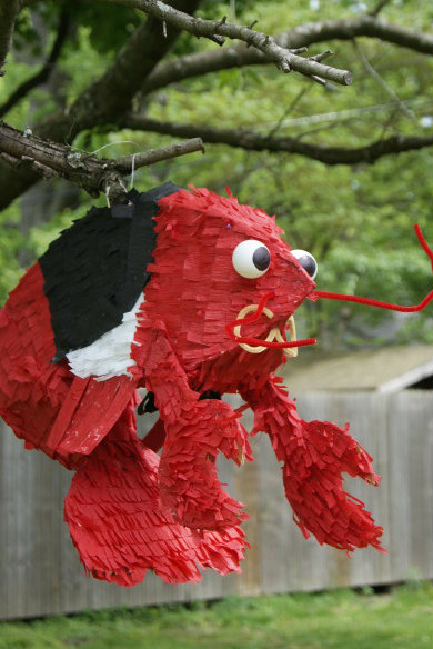 pinata