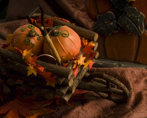 Pumpkin1 L
