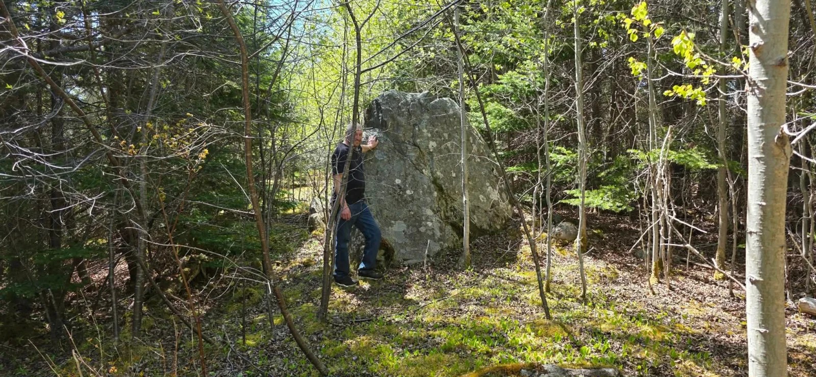 A huge granite erratic standing on my property on Random Island, Newfoundland