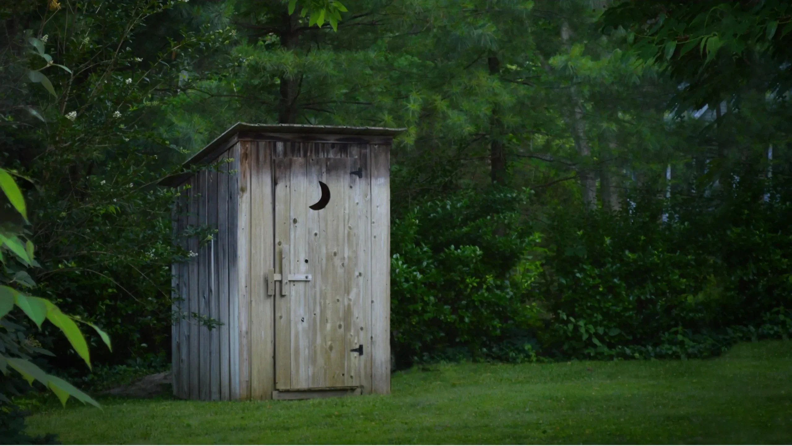 An outhouse, standing at the edge of a clearing.